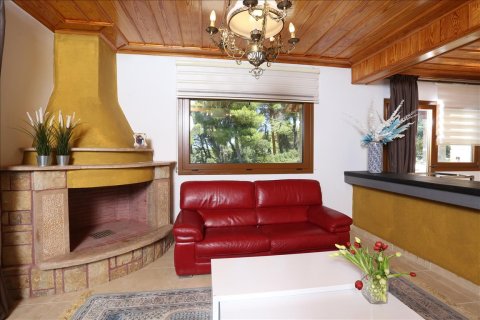 Вилла 210м² в Халкидики, Греция №56453 29