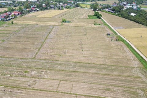 Land in Chiang Mai, Thailand No. 98166 10