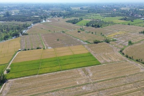 Land in Chiang Mai, Thailand No. 98166 12