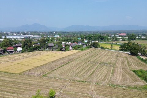 Land in Chiang Mai, Thailand No. 98166 4