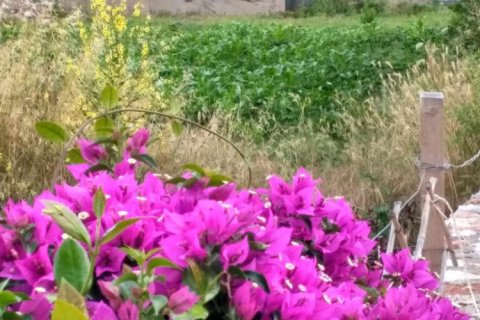 3 dormitorios House en Euboea, Greece No. 123423 19