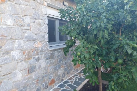 3 dormitorios House en Euboea, Greece No. 123423 23