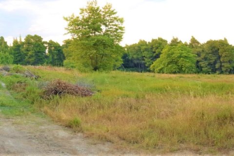 Земельный участок 19895м² в Халкидики, Греция №57882 5