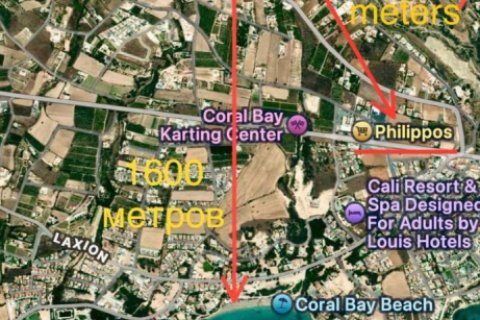 3 chambres Villa à Pegeia, Cyprus No. 62490 16