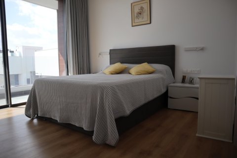 3 bedrooms Villa in Paphos, Cyprus No. 99330 10