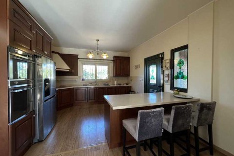 4 bedrooms Villa in Paphos, Cyprus No. 100325 9