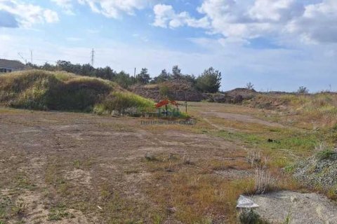 5 bedrooms House in Mosfiloti, Cyprus No. 100422 15