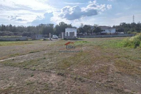 5 bedrooms House in Mosfiloti, Cyprus No. 100422 16