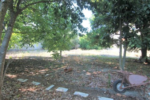 1342m² Land in Corfu, Greece No. 56249 4