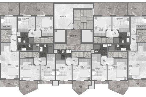 2 chambres Penthouse à Chau Lang, Vietnam No. 11503 18