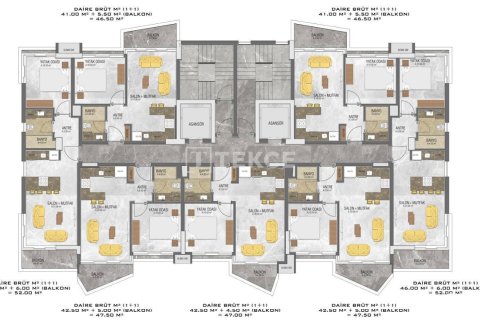 2 chambres Penthouse à Chau Lang, Vietnam No. 11503 19