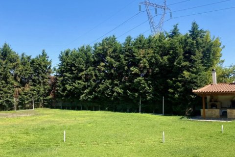 6 rooms Maisonette in Euboea, Greece No. 108149 10