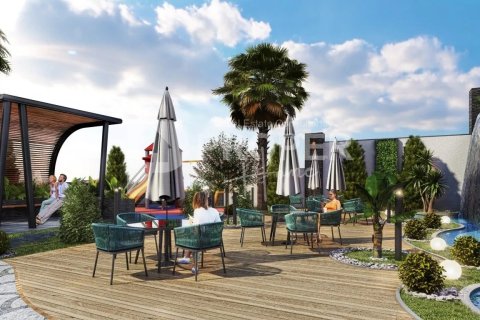 3 rooms Apartment in Chau Lang, Vietnam No. 11501 6