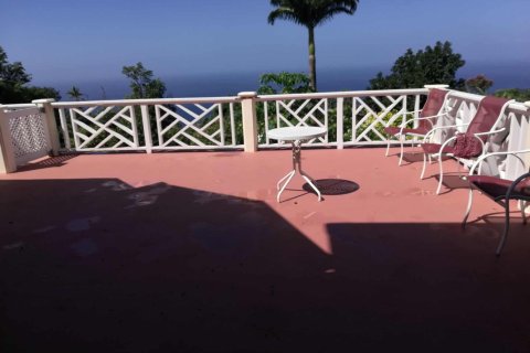 4 chambres House à Saint George, Dominica No. 66283 11