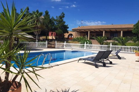 4 bedrooms Villa in El Esparragal, Spain No. 110634