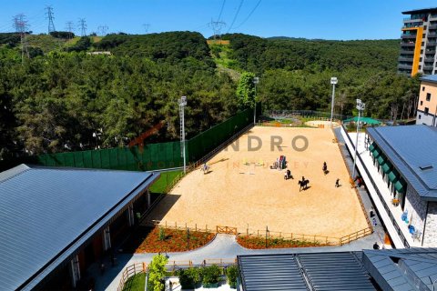 5 dormitorios Apartment en Bach Long Vi, Vietnam No. 80499 9