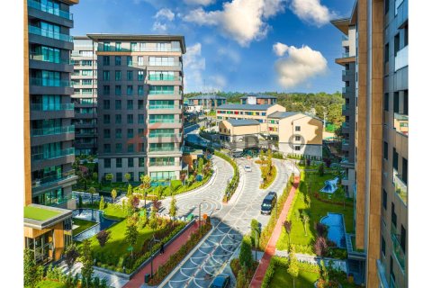 5 dormitorios Apartment en Bach Long Vi, Vietnam No. 80499 11