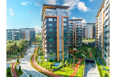 5 dormitorios Apartment en Bach Long Vi, Vietnam No. 80499 14