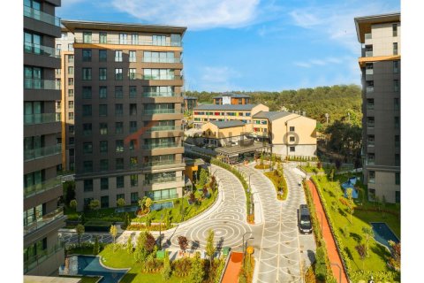 5 dormitorios Apartment en Bach Long Vi, Vietnam No. 80499 10