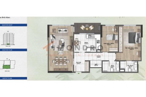 5 dormitorios Apartment en Bach Long Vi, Vietnam No. 80499 19