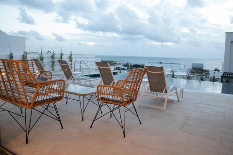 4 bedrooms House in Chloraka, Cyprus No. 37380 17