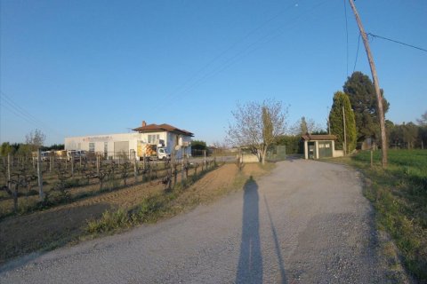 740m² Commercial property in Thermi, Greece No. 58831 8