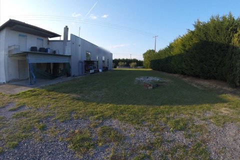740m² Commercial property in Thermi, Greece No. 58831 10