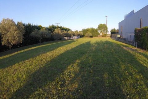 740m² Commercial property in Thermi, Greece No. 58831 5