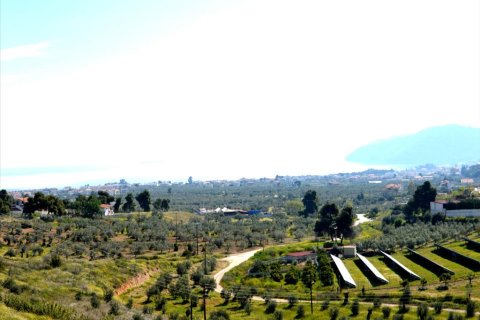 4 bedrooms House in Corinthia, Greece No. 58823 3