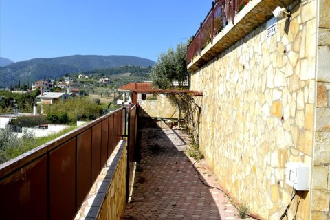 4 bedrooms House in Corinthia, Greece No. 58823 15