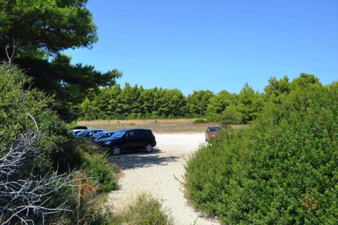 15500m² Land in Chalkidiki, Greece No. 59446 6