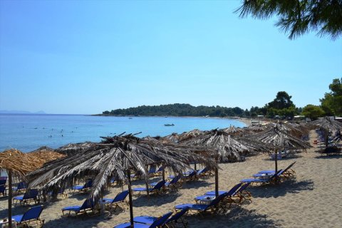 15500m² Land in Chalkidiki, Greece No. 59446 1