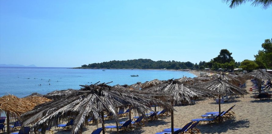 15500m² Land in Chalkidiki, Greece No. 59446