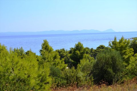15500m² Land in Chalkidiki, Greece No. 59446 12