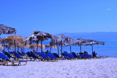 15500m² Land in Chalkidiki, Greece No. 59446 2