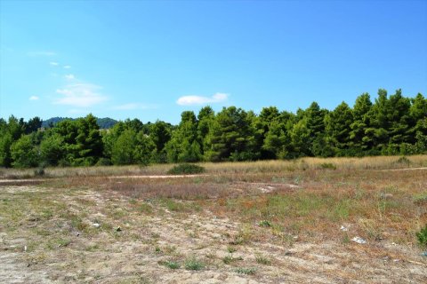 15500m² Land in Chalkidiki, Greece No. 59446 7