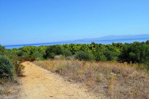 15500m² Land in Chalkidiki, Greece No. 59446 9