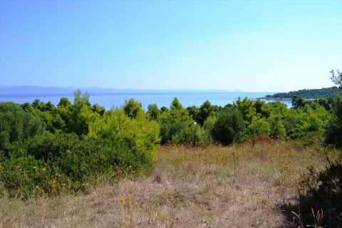 15500m² Land in Chalkidiki, Greece No. 59446 10