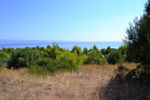 15500m² Land in Chalkidiki, Greece No. 59446 8