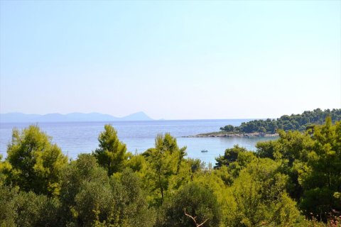 15500m² Land in Chalkidiki, Greece No. 59446 11