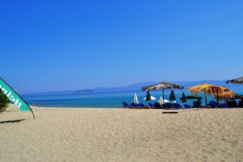 15500m² Land in Chalkidiki, Greece No. 59446 3