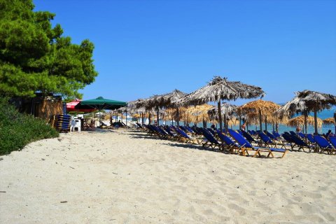 15500m² Land in Chalkidiki, Greece No. 59446 4