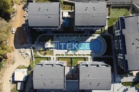 4 bedrooms Apartment in Chau Lang, Vietnam No. 10934 8