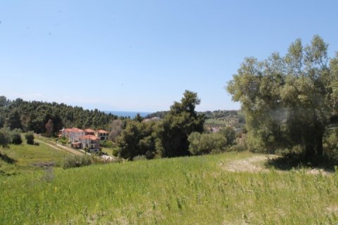 20100m² Land à Chalkidiki, Greece No. 58791 1
