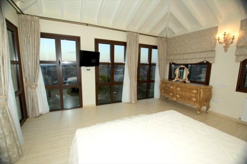 Studio Villa in Paphos, Cyprus No. 105591 10