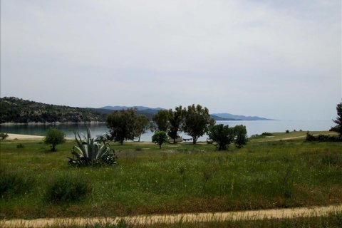 Дом с 6 спальнями в Халкидики, Греция №59728 8