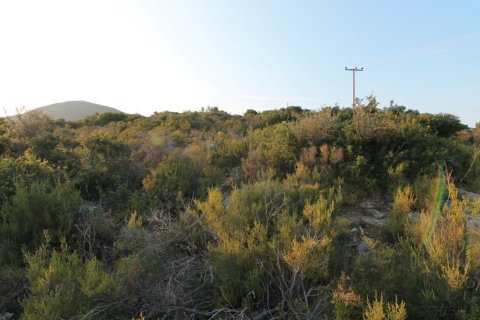 9500m² Land à Chalkidiki, Greece No. 108171 2