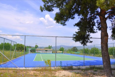 2 bedrooms Villa in Polygyros, Greece No. 60383 10