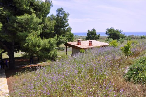 2 bedrooms Villa in Polygyros, Greece No. 60383 11