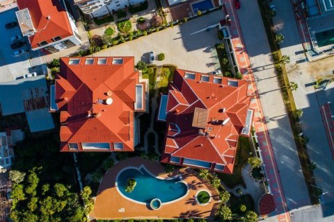 1 chambre Appartement à Tri Phuong, Vietnam No. 12716 19